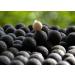 Tandem Baits Euro Boilies for Carp Fishing 16-22 mm 1-10 kg - Buy Online on GoSupps.com