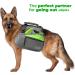 Edipets Green 5m Extendable & Retractable Dog Leash - Flexible Training Leash for Small Medium & Large Dogs - Buy Online on GoSupps.com