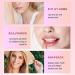 12 Pack Lip Balm Natural Moisturizing Lip Balm with Vitamin E Lip Balm for Repairing Dry and Chapped Lips - Buy Online on GoSupps.com