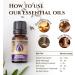Ecodrop French Lavender Essential Oil 10ml - Certified Organic, 100% Pure Therapeutic Grade for Aromatherapy, Massage, Diffusers & Bath - Includes e-Book - Buy Online on GoSupps.com