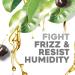 OGX Hydrate & Defrizz Kukui Oil Anti-Frizz Hydrating Oil - 4 oz | Buy Now for Smooth Shiny Hair - International Shipping Available - Buy Online on GoSupps.com