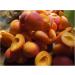 Tiptree Organic Apricot Conserve 6x340g - Buy Online on GoSupps.com
