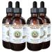 Kola nut Alcohol-Free Liquid Extract Kola nut (Cola Acuminate) Whole Nut Glycerite Hawaii Pharm Natural Herbal Supplement 4x4 oz 16 Fl Oz (Pack of 1)