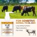 Beef Tallow & Honey Milk Body Lotion - Moisturizes & Softens Dry Skin Body & Hands - Moisturizing Body Oil for Body Organic Face Moisturizer  - Buy Online on GoSupps.com