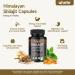 Shilajit Capsules Supplement 9000mg Equivalent with Ashwagandha Rhodiola Ginseng Shilajit Supplement for Energy & Stress 60 Capsules 60 Days Supply Shilajit-1pack - Buy Online on GoSupps.com