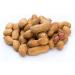 Roasted Peanuts in Shell (Monkey Nuts) 1kg - Moreish Source of Protein and Minerals Vegan Premium Quality - Buy Online on GoSupps.com