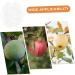 Parliky Shaped Growth Fruitful Fruit Forming Shapes Fruit Shaper Fruit Cloth Bag Vegetable - Buy Online on GoSupps.com