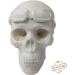 Handmade Organic Skull Biker Soap | All-Natural Halloween Decoration | Chemical-Free Craft with Essential Oils - Buy Online on GoSupps.com