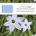 Pre de Provence Artisanal Soap Bar with Organic Shea Butter - Starflower 5.3 oz (Pack of 1) - Buy Online on GoSupps.com