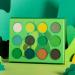 DE'LANCI Green Eyeshadow Palette - Highly Pigmented Matte Glitter Shades - 12 Color Avocado Green Metallic Shimmer - Long Wear Eye Shadow Palette for Women - Buy Online on GoSupps.com
