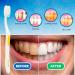 Shield Care Smokers Toothbrush - Expert Care Hard Bristles - Removes Stains - 4 Count - Buy Online on GoSupps.com