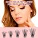 Cluster Lashes GWAWG Individual Lashes 100 Lash Clusters C D Curl Individual Cluster eyelashes DIY Lash Extensions Reusable False Eyelashes 3D Wispy Fluffy Lashes 10-16mm Length - Buy Online on GoSupps.com