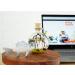 Shrimp Bubble Self-Sustaining Ecosystem in Amber - Eco-Friendly Home Decor - Buy Online on GoSupps.com