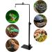 QWORK Reptile Lamp Stand Adjustable 12-25 Inch Metal Heat Lamp Holder Hanger for Amphibians Snake Lizard Turtle Spider Terrarium Fish Aquarium - Buy Online on GoSupps.com