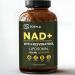 ZOZYLA Liposomal NAD+ Supplement with Resveratrol 1000mg per Serving 60 Capsules High Absorption Non-GMO GMP Certified & Inspected Lab Tested Made in USA