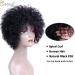BECUS Afro Curly Wigs for Black Women - 8 Heat Resistant Brazilian Remy Human Hair (Natural Spiral 1B) - Buy Online on GoSupps.com