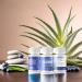 Blueberry Scented Probiotic Vaginal Suppositories | 30 Vegan Capsules with Aloe Vera for pH Balance | 360 Billion CFU | Peachbody - Buy Online on GoSupps.com