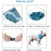 Cool Collapse for Dogs - Cooling Collar Neckerchief & Bandana in Size S/M/L - Stay Cool with Stylish Dog Accessories - Buy Online on GoSupps.com