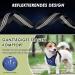 Buy Slowton XS Blue Dog Harness with Seat Belt for Car - Breathable Latex Network for Puppy Safety | Ideal for Everyday Sports - International Shipping Available - Buy Online on GoSupps.com