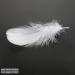 HaiMay 450 White Feathers for Craft Wedding & Party Decor 3-5 inches - Home Decorations - Buy Online on GoSupps.com