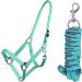 NetProShop Halter & Lead Rope - Turquoise for Mini Shetty to XL Full Size Pony - Buy Online on GoSupps.com
