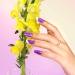 DouborQ 12 Color Nail Polish Set Neno Air Dry 12 Bright Colors 0.35oz Regular Nail Polish Kit Spring Summer Finger Nail Polish Gift Set for Women(1-12) 12 Color Set -A - Buy Online on GoSupps.com