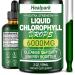 Chlorophyll Liquid Drops for Water - 100% Natural Energy Booster and Immune Support - Internal Deodorant and Detox - Fast Absorption, Vegan & Non-GMO - 120 Servings 6000MG
