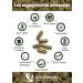 Harpagophytum ORGANIC Extra Strong | 3000mg per day 2.7% Harpagosides | Joints Tendons Mobility | Devil's Claws | 60 Vegan Capsules | Top Quality - Buy Online on GoSupps.com