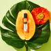 Abbott Papaya Isla Eau de Parfum - Mini Perfume for Men & Women Notes of Papaya Jungle Greens & Ambrox Clean Long Lasting Vegan Paraben-Free Cruelty-Free 10mL 0.34 Fl Oz (Pack of 1) - Buy Online on GoSupps.com