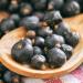 Nim's Juniper Berries 100g - Buy Online on GoSupps.com