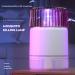 USB SafetyElectric Mosquito Zappers Ultraviolet Mosquito Killer Electric Shock Type Two-in-one Household LED lamp USB Charging (Color : Black) - Buy Online on GoSupps.com
