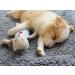 Furrybaby Premium Fluffy Fleece Dog Blanket - Soft & Warm Pet Throw for Dogs & Cats | Small 24x32 Grey Blanket - Buy Online on GoSupps.com