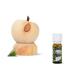 Swiss stone pine with storage plate and 10ml organic Swiss stone pine oil - air-dried Swiss stone pine wood