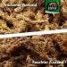 Buy Terra Exotica Sphagnum Moss (3x1 Kg) - Premium Peat Moss for Garden Houseplants & Terrariums - International Shipping Available - Buy Online on GoSupps.com