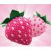 Tic Tac Strawberry Mix 24 Pack - 432g | Sweet Treats in Convenient Box | Pere's Candy Gift Option - International Shipping Available - Buy Online on GoSupps.com