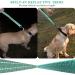 Vivaglory Short Dog Leash | Training Lines for Medium & Large Dogs | 46 cm Green Traffic Leash - Buy Online on GoSupps.com