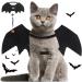 Shop Vivifying Bat Wing Cat Costume - Adjustable Halloween Wings with Pumpkin Bell | Perfect Cat Cosplay Decoration - Buy Online on GoSupps.com