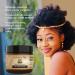 Sunny Isle Jamaican Black Castor Oil Pure Butter with African Chebe Powder - 2oz | All-Natural Hair & Skin Moisturizer for All Types - Longer Stronger Hair - Buy Online on GoSupps.com