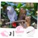FOMIYES 3 Sets Bird Leash Adjustable Belt Pet Bird Harness and Leash Parrot Flying Tool Animal Crawl 12X6X1.3CMx3pcs Pinkx3pcs - Buy Online on GoSupps.com