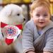 Dog Bandanas 2 Pcs Union Jack Bandana For Dog 2 Pcs Dogs Collar Bow Ties Pet Dog Kerchief Adjustable Strap Bandana For Dogs For Small Medium Large Girl Or Boy Dogs Cats Puppy Decoration Supply - Buy Online on GoSupps.com