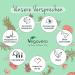 Mushroom Complex - 6 Vital Mushrooms (Reishi Cordyceps Shiitake Chaga Hericium Agaricus) | Vegan & Pure | Beta-Glucane + Polysaccharide | Laboratory Tested | German Quality by Vegavero | International Shipping - Buy Online on GoSupps.com