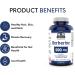Berberine 500mg 90 vcaps - Cardiovascular Health + Supports Blood Sugar Metabolism - Take Your Health to a New Summit with Summit Supplements a Plastic Negative Product! 90 count (Pack of 1) - Buy Online on GoSupps.com