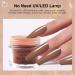 Honey Joy 6 Box Set Nude Coffee Dip Powder Nails Kit for Even & Smooth Gel-Like Finish (DP-P-6pcs-10g/box) - Buy Online on GoSupps.com