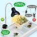Buy Pewingo Turtle Heat Lamp - UVB Basking Spot Lights for Reptiles | 360 Swivel Clamp | Halogen & Orange Light | Ideal for Turtles Snakes & Lizards - Buy Online on GoSupps.com