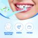 Quelcc 3-Piece Toothbrush Set | Stain & Tartar Remover | Soft Ricket Brush for Professional Tooth Cleaning | Remove Discoloration & Plaque - Buy Online on GoSupps.com