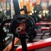 Qimei-Shop Dumbbell Closures | Quick Locks & Slip-Resistant Barbell Collars for 50mm Olympic Weightlifting - Fitness Training Equipment - Buy Online on GoSupps.com