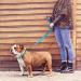 Tagme Personalized Reflective Dog Collar & 1.5m Leash for Large Dogs - Sky Blue (1-Pack) | Durable & Stylish - Buy Online on GoSupps.com