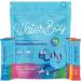 Waterboy Weekend Recovery Sample Pack | 3 200mg Electrolyte Powder Packets | Ginger + L-Theanine + Vitamins | No Sugar All Natural Gluten Free | 12 Drink Stick Mixes (Sample Pack)