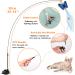 GIAPINST Interactive Cat Feather Toy with Bell - Suction Cup Teaser Wand for Indoor Cats. Ideal for Kitten Training, Play and Exercise - Brown - Buy Online on GoSupps.com