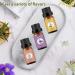 Violet Lily Honeysuckle Essential Oils Set 100% Pure Premium Grade Natural Fragrance Oil Gift kit for Diffusers Home Care Candle Making Fragrance Aromatherapy Humidifiers Violet + Lily + Honeysuckle 10.00 ml (Pack of 3) - Buy Online on GoSupps.com
